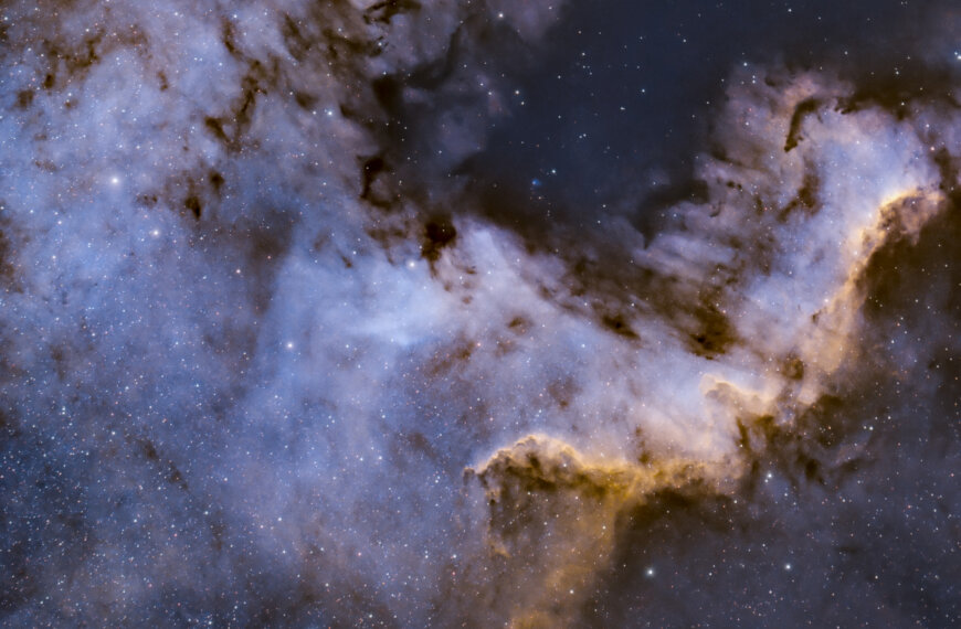 NGC7000 – Nebulosa Nord America (porzione 2)