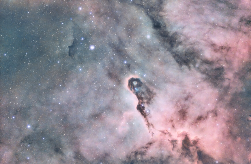 IC1396 – Nebulosa Proboscide di Elefante