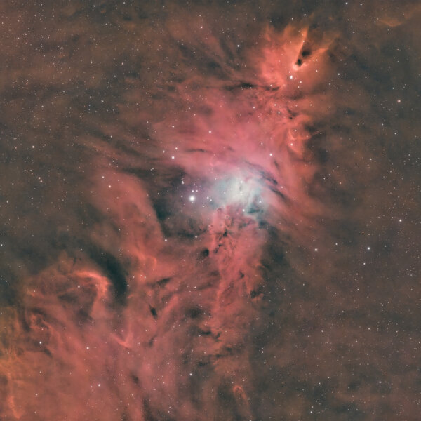 NGC2264 – Christmas tree cluster + cone nebula
